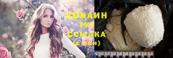 соль ск Алзамай