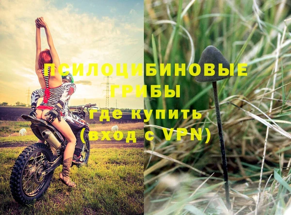 соль ск Алзамай