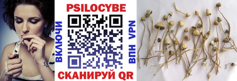 Псилоцибиновые грибы Cubensis  MEGA   darknet формула  Волхов 