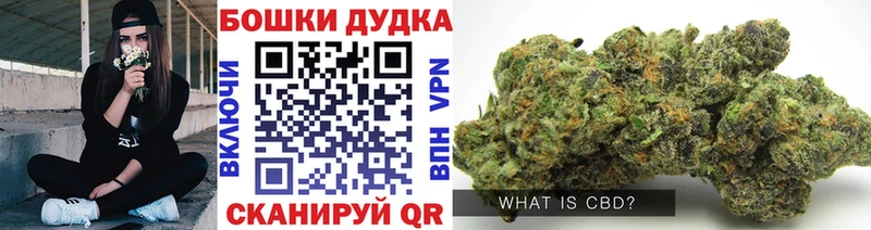 Шишки марихуана THC 21%  omg вход  Волхов 